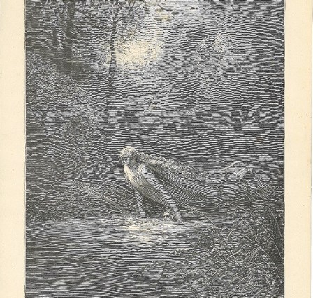 Usos do esquecimento - Conferências proferidas no Colóquio de Royaumont