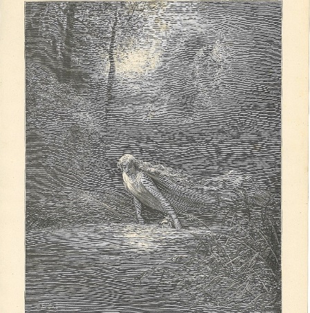 Usos do esquecimento - Conferências proferidas no Colóquio de Royaumont